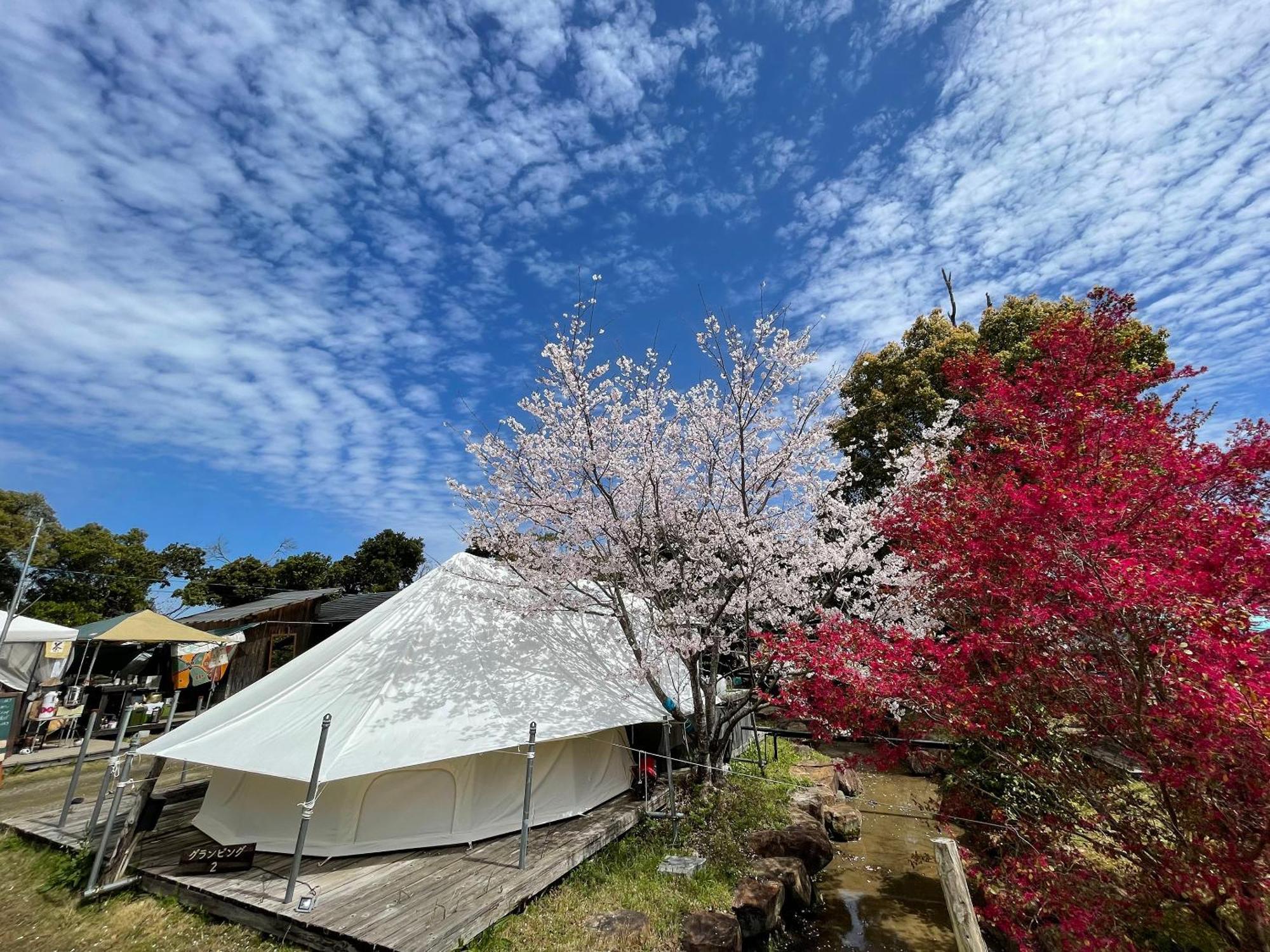四万十市 山みず木ヴィラ エクステリア 写真