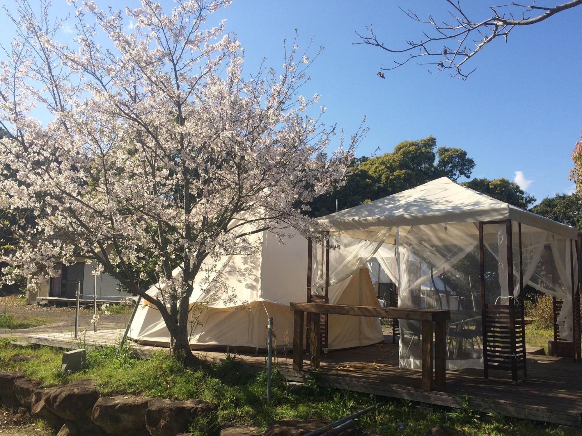 四万十市 山みず木ヴィラ エクステリア 写真